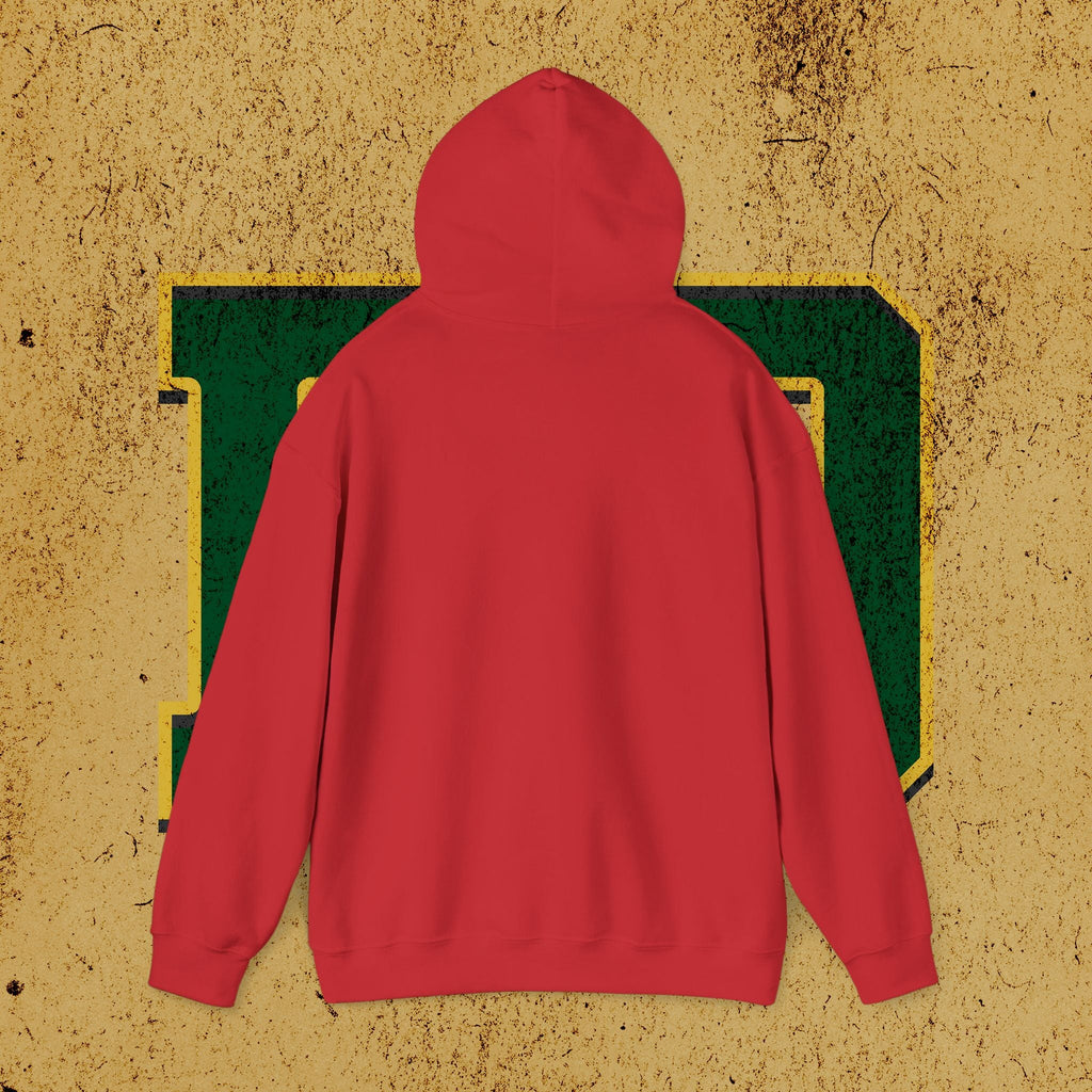 Paddle Daddy Hoodie, Unisex Hooded Sweatshirt for Dads, Elite-ish Comfort for the Ironically Refined