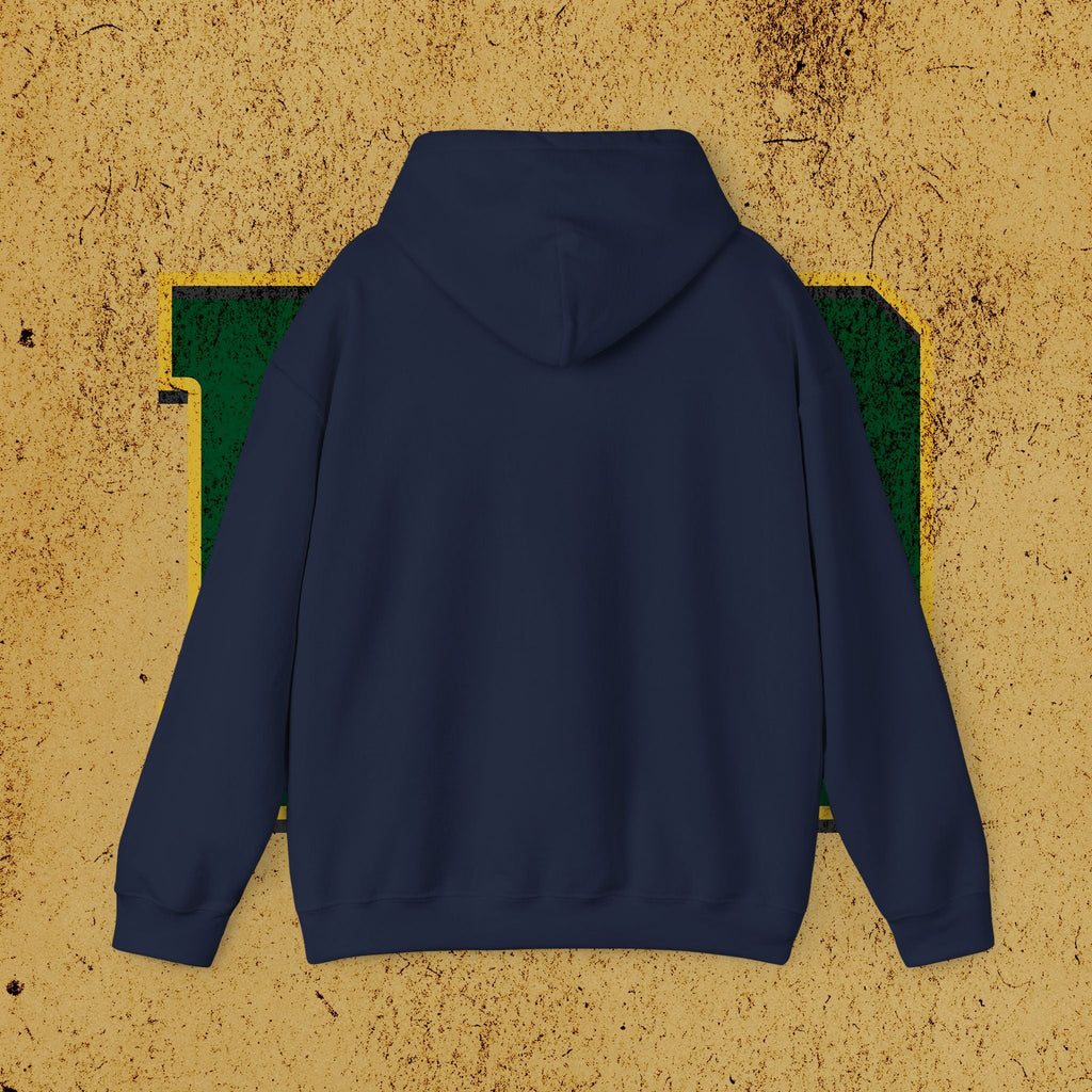 Paddle Daddy Hoodie, Unisex Hooded Sweatshirt for Dads, Elite-ish Comfort for the Ironically Refined