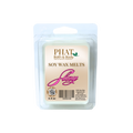 Slay Soy Wax Melts Bite Me Type | 2.4 oz
