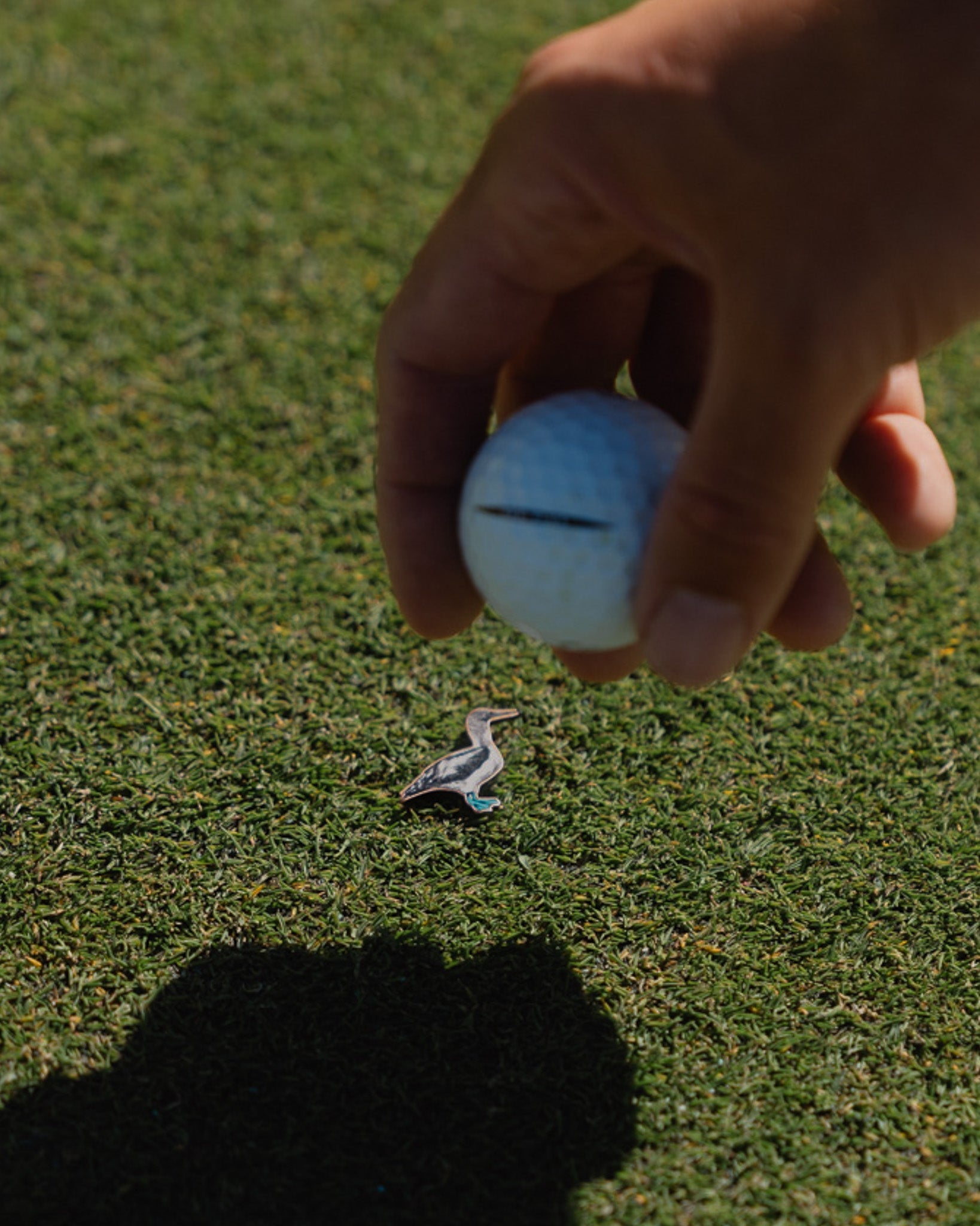 Ball Marker | BFB