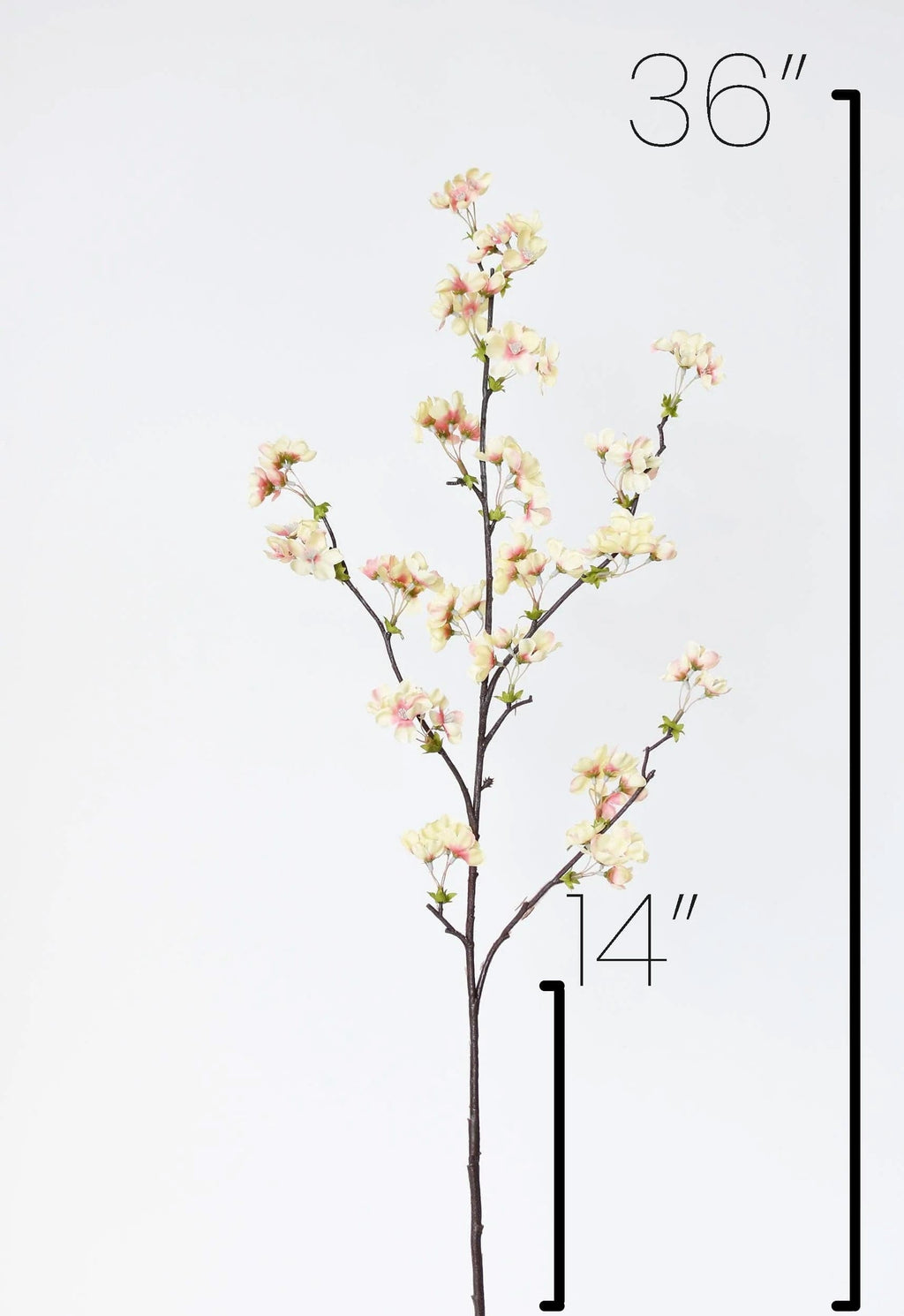 36" Faux Quince Blossom Apricot Cream Stem Flowering Branch
