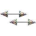 14G 9/16 Rainbow Chevron End with an Arrow Nipple Ring Set