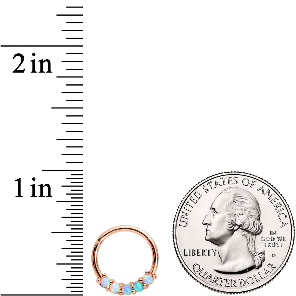 16G 3/8 Synthetic Opal Rose Gold Tone Hinged Segment Ring
