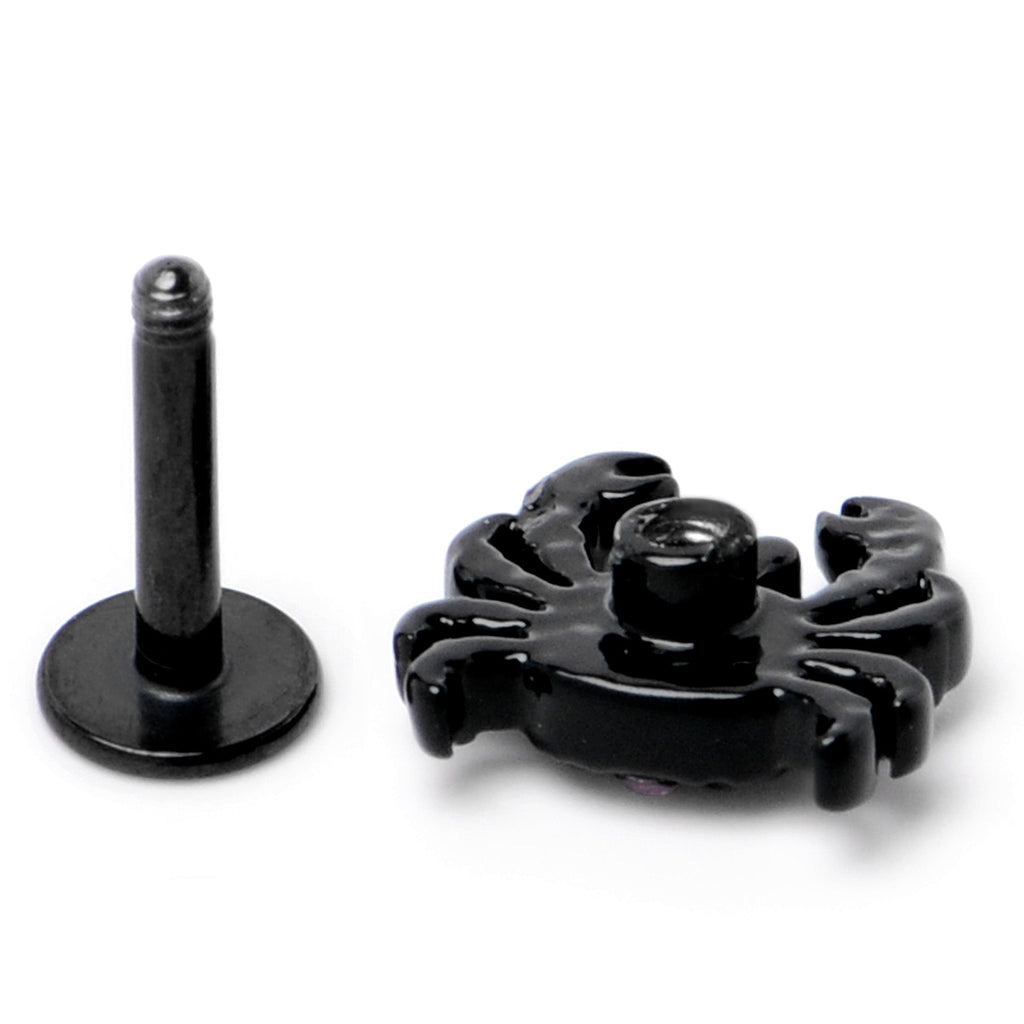 16G 1/4 Purple Gem Black Chic Crab Labret