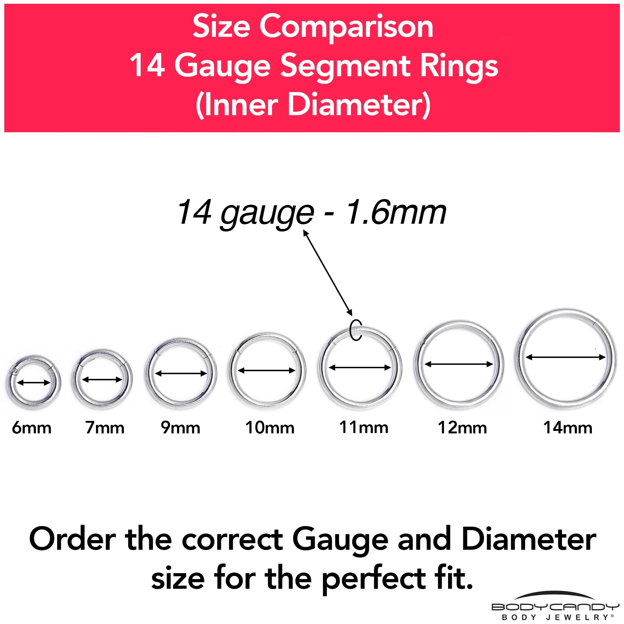 14G 9mm 316L Surgical Steel Precision Hinged Segment Hoop
