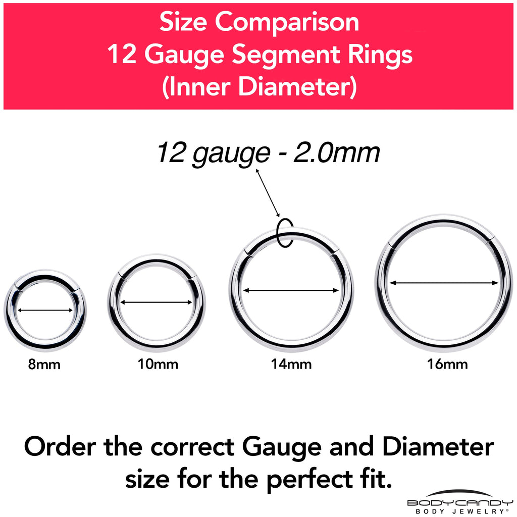 12G 5/8 316L Surgical Steel Precision Hinged Segment Hoop