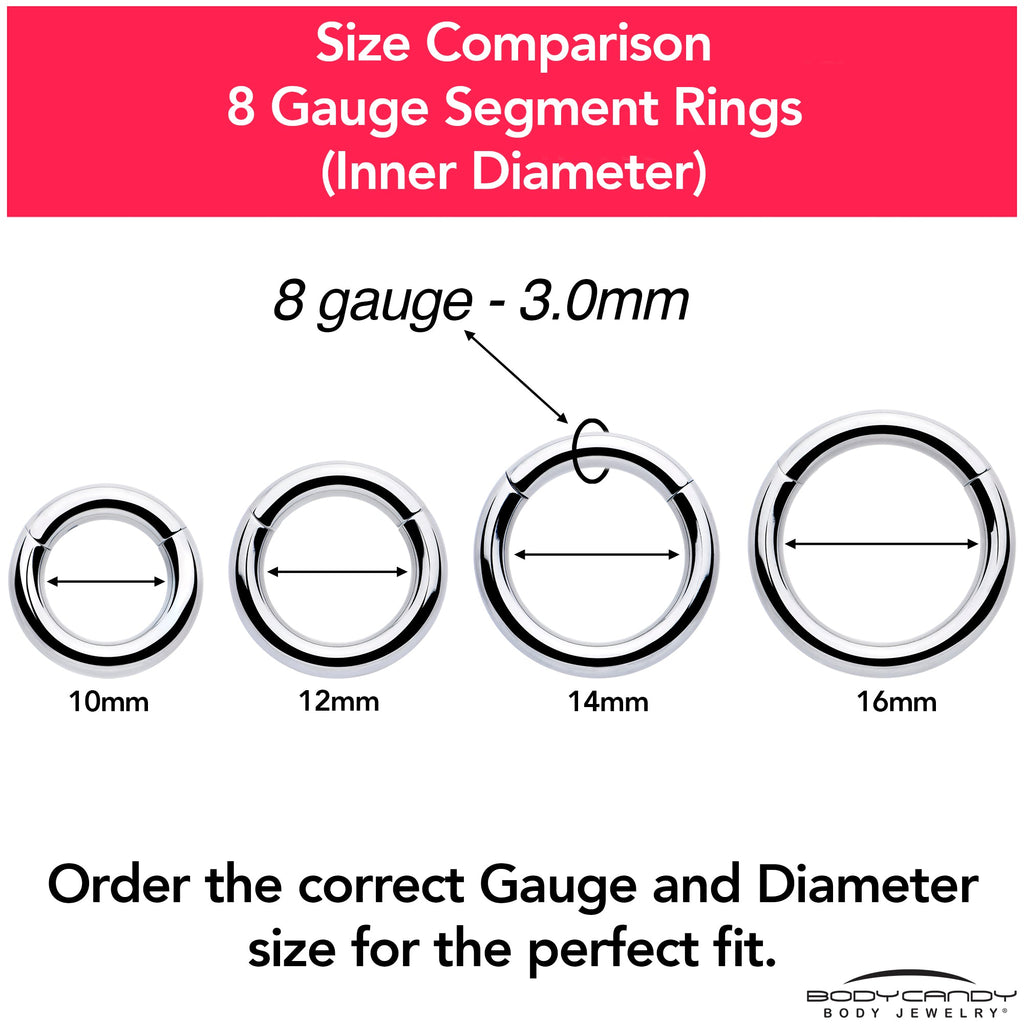 8G 3/8 316L Surgical Steel Precision Hinged Segment Hoop