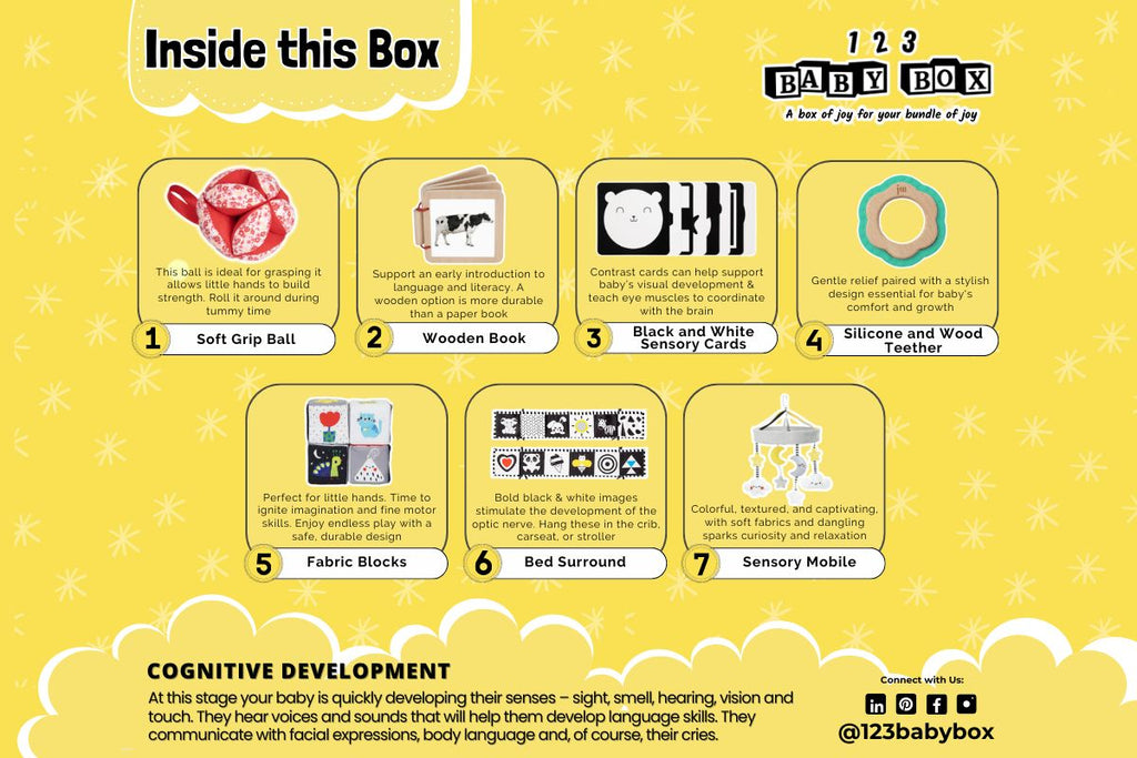 Montessori Lernbox (0-2 Monate)