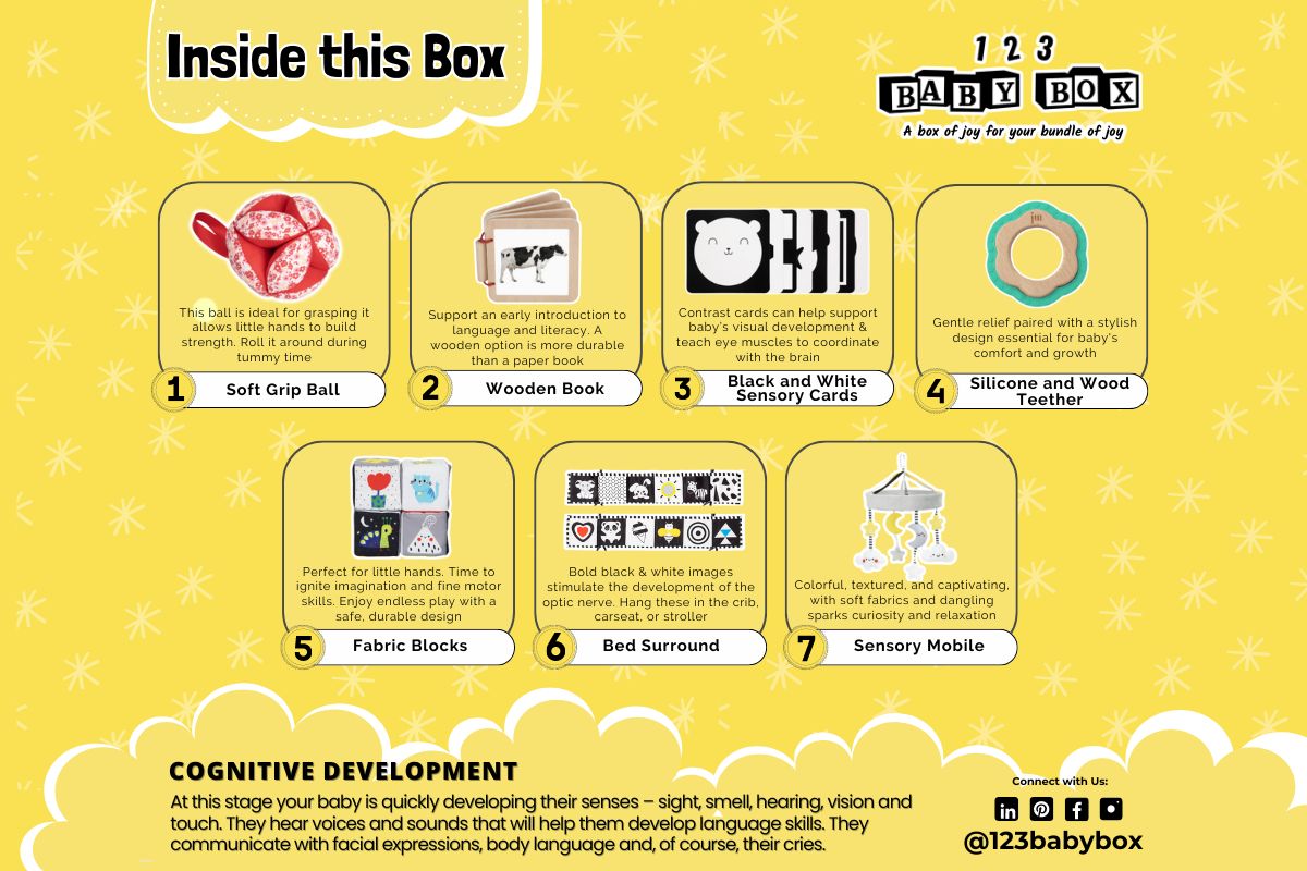 Montessori Lernbox (0-2 Monate)