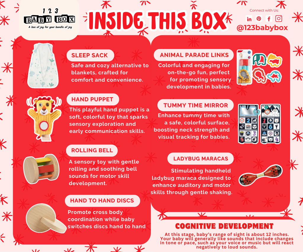 Montessori Lernbox (3-4 Monate)