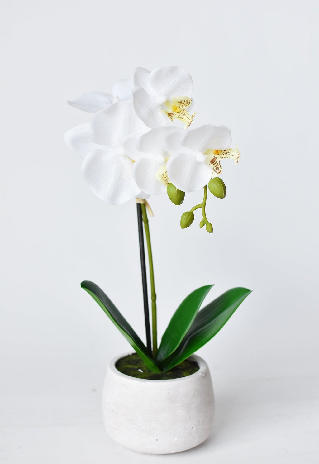 14 Zoll künstliche Topf-Orchidee, weiß