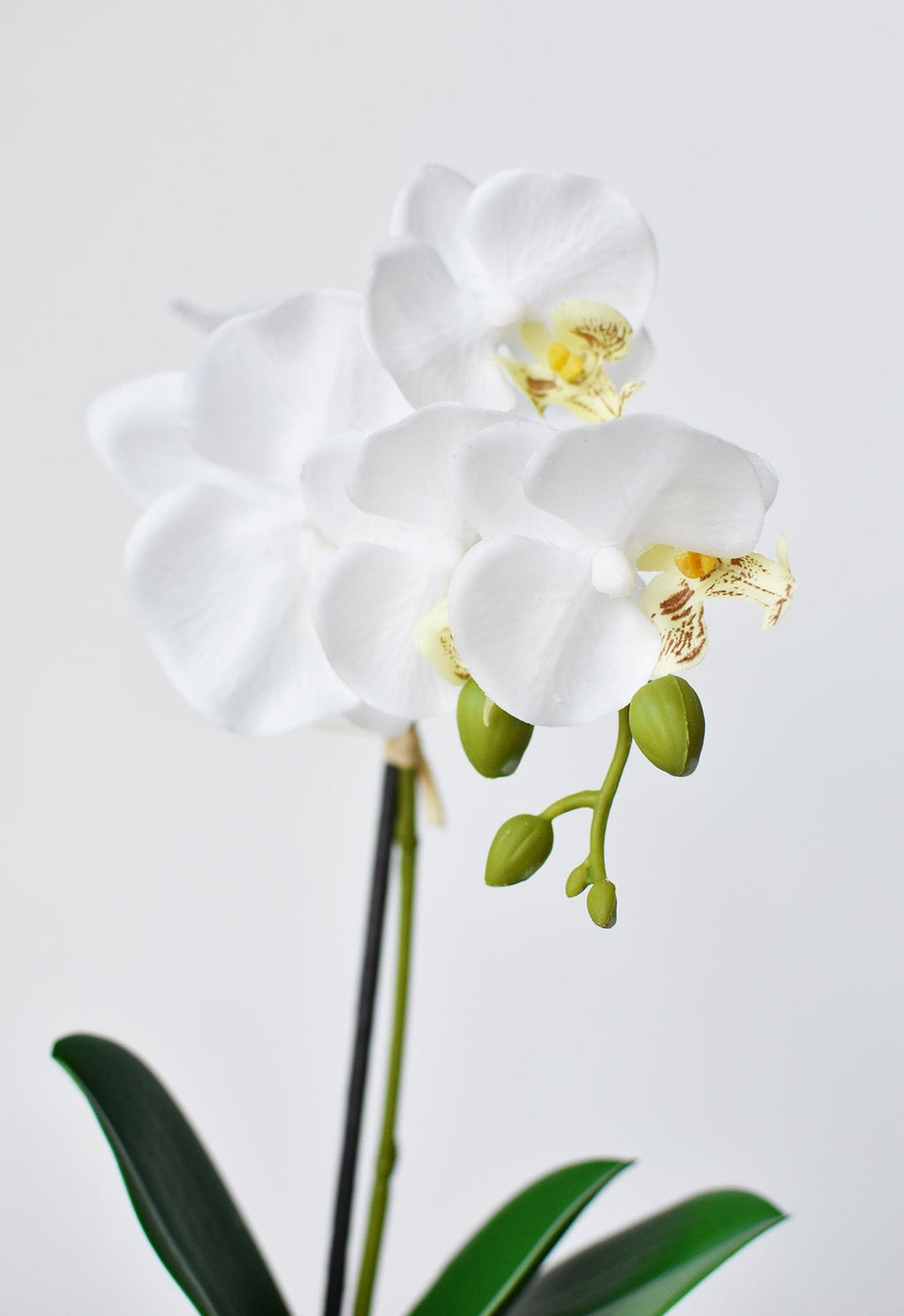 14 Zoll künstliche Topf-Orchidee, weiß