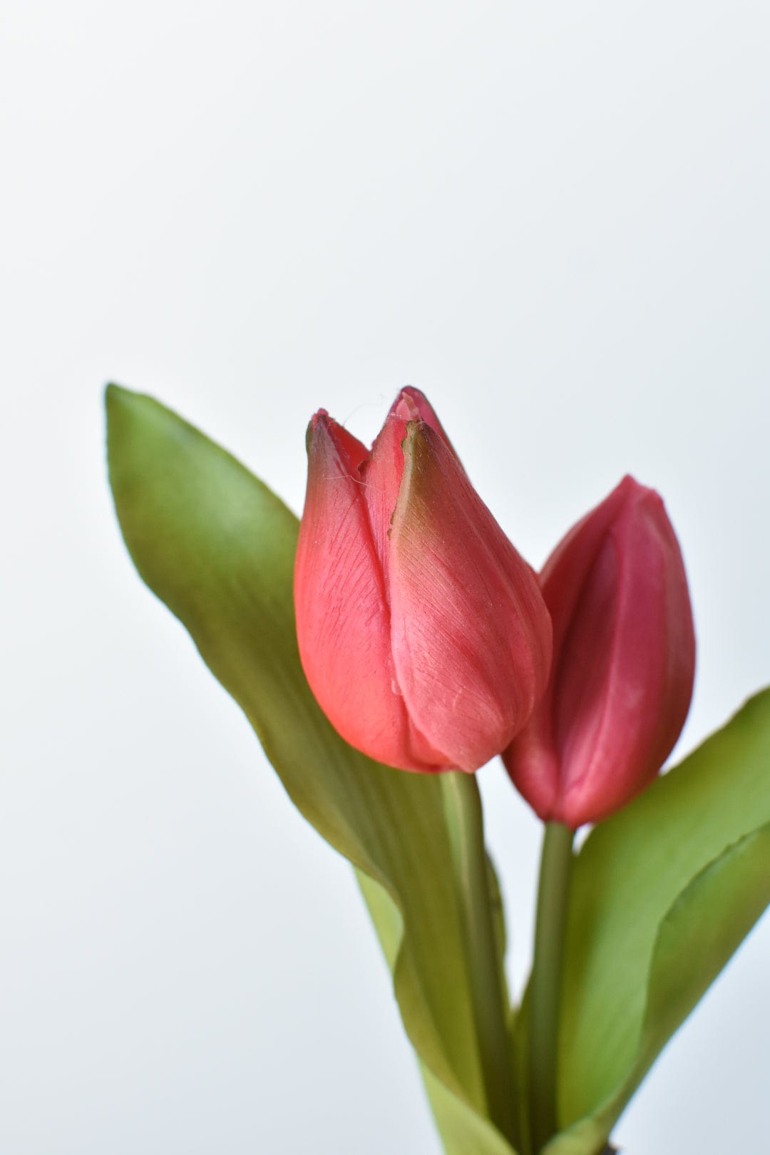 8" Kunst-Tulpen "Real Touch" in Fuchsia mit Zwiebel und Steckstab