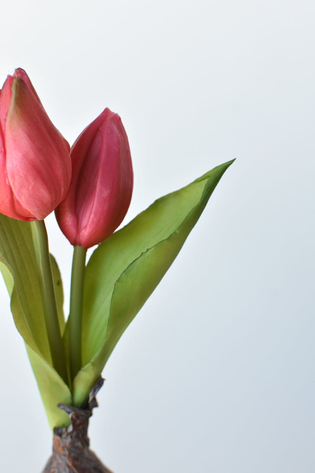 8" Kunst-Tulpen "Real Touch" in Fuchsia mit Zwiebel und Steckstab