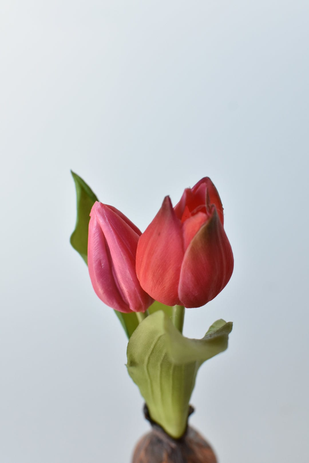 8" Kunst-Tulpen "Real Touch" in Fuchsia mit Zwiebel und Steckstab