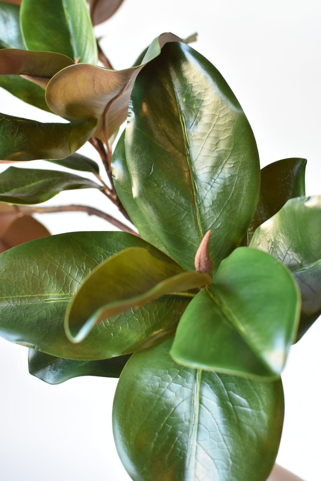40" Kunst-Magnolienblattzweig