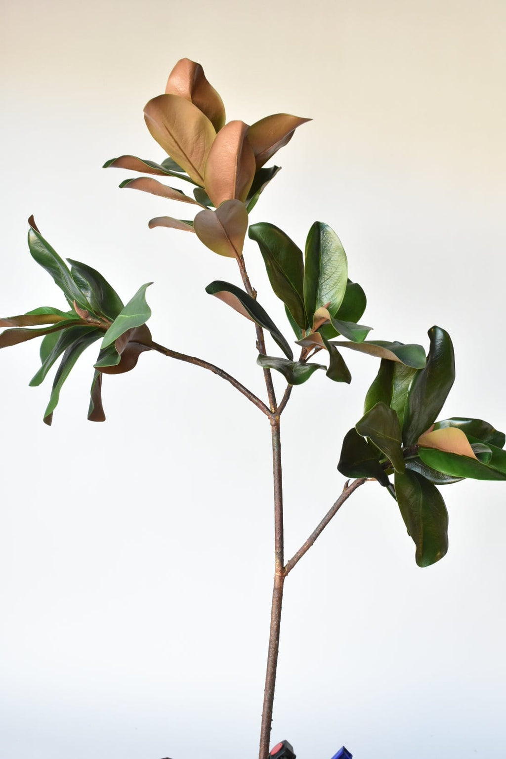 40" Kunst-Magnolienblattzweig