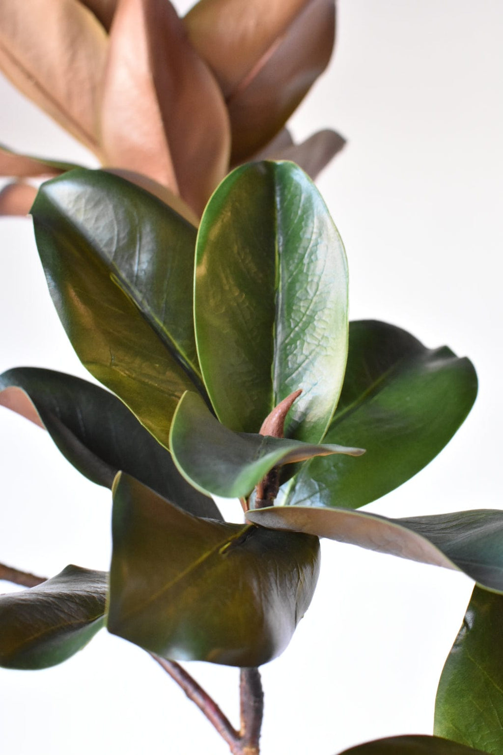 40" Kunst-Magnolienblattzweig