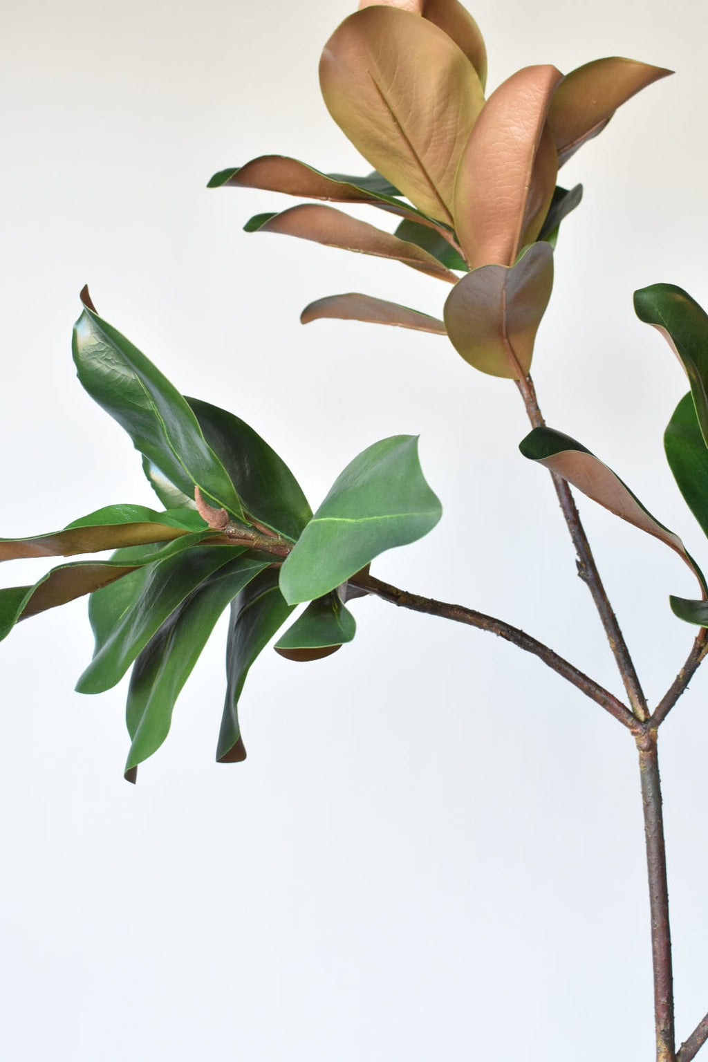 40" Kunst-Magnolienblattzweig