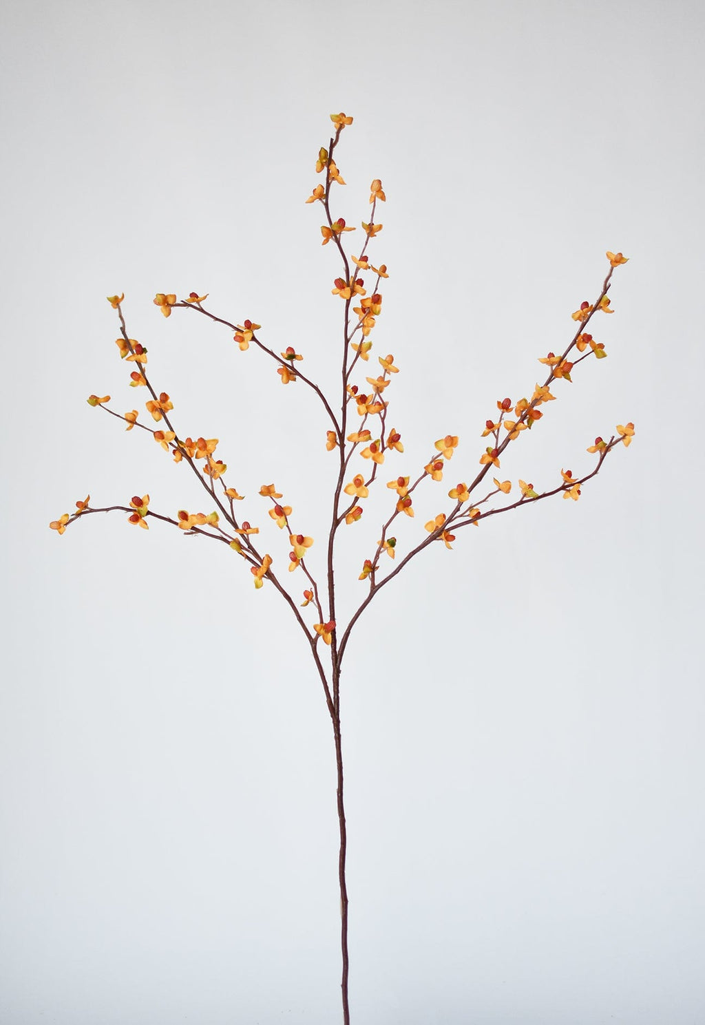 81 cm künstlicher Bittersweet-Zweig