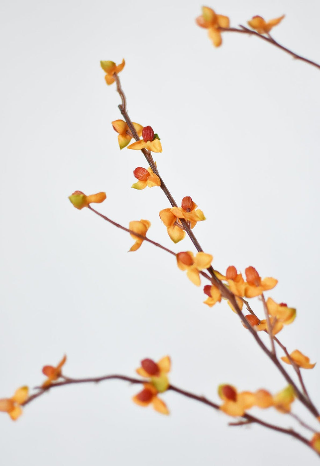 81 cm künstlicher Bittersweet-Zweig