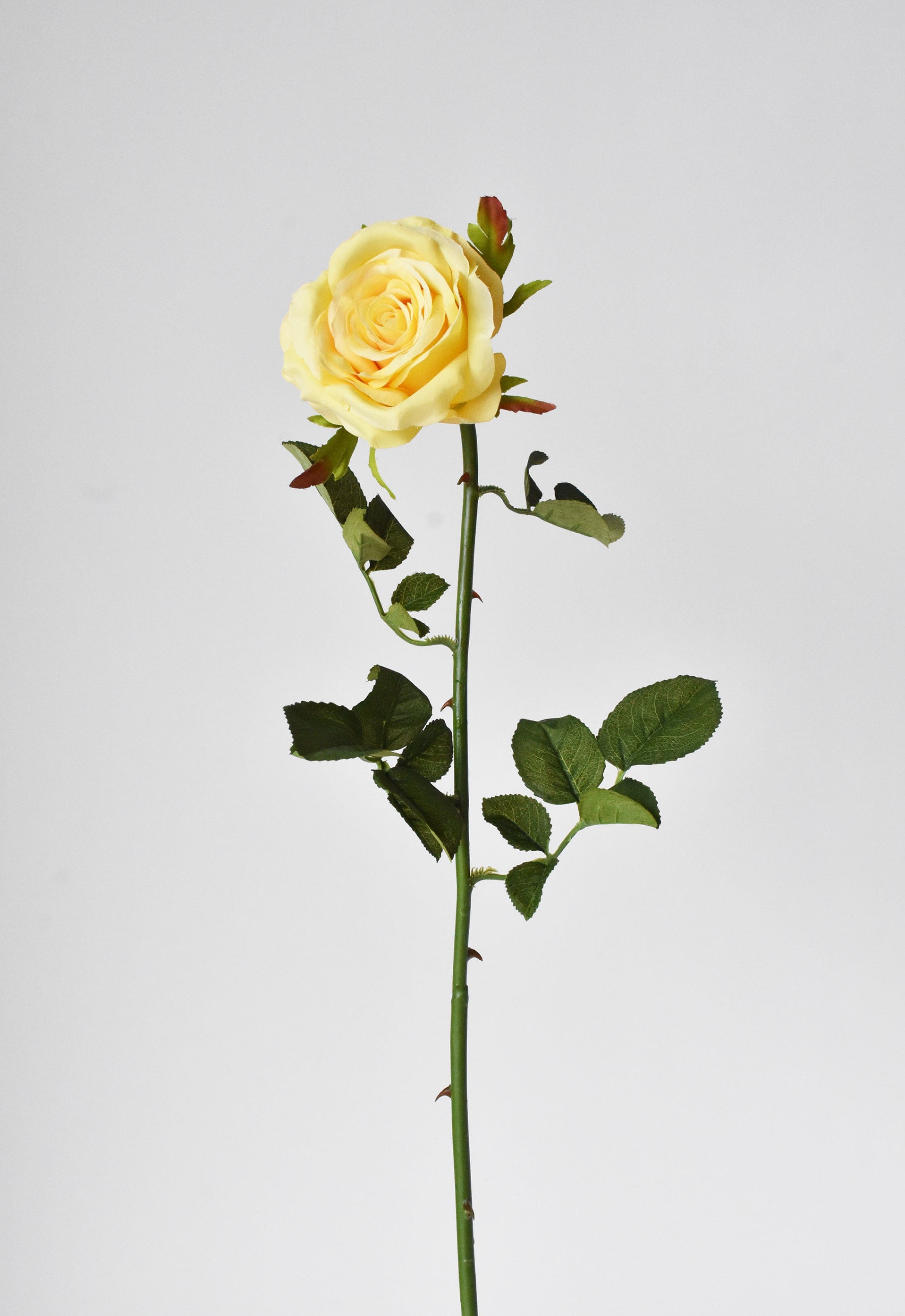 27" Faux Yellow Open Garden Rose Stem