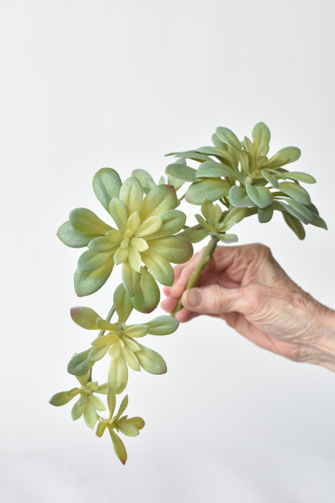 11,5" Künstlicher, herabhängender weicher Aeonium-Spray-Stiel