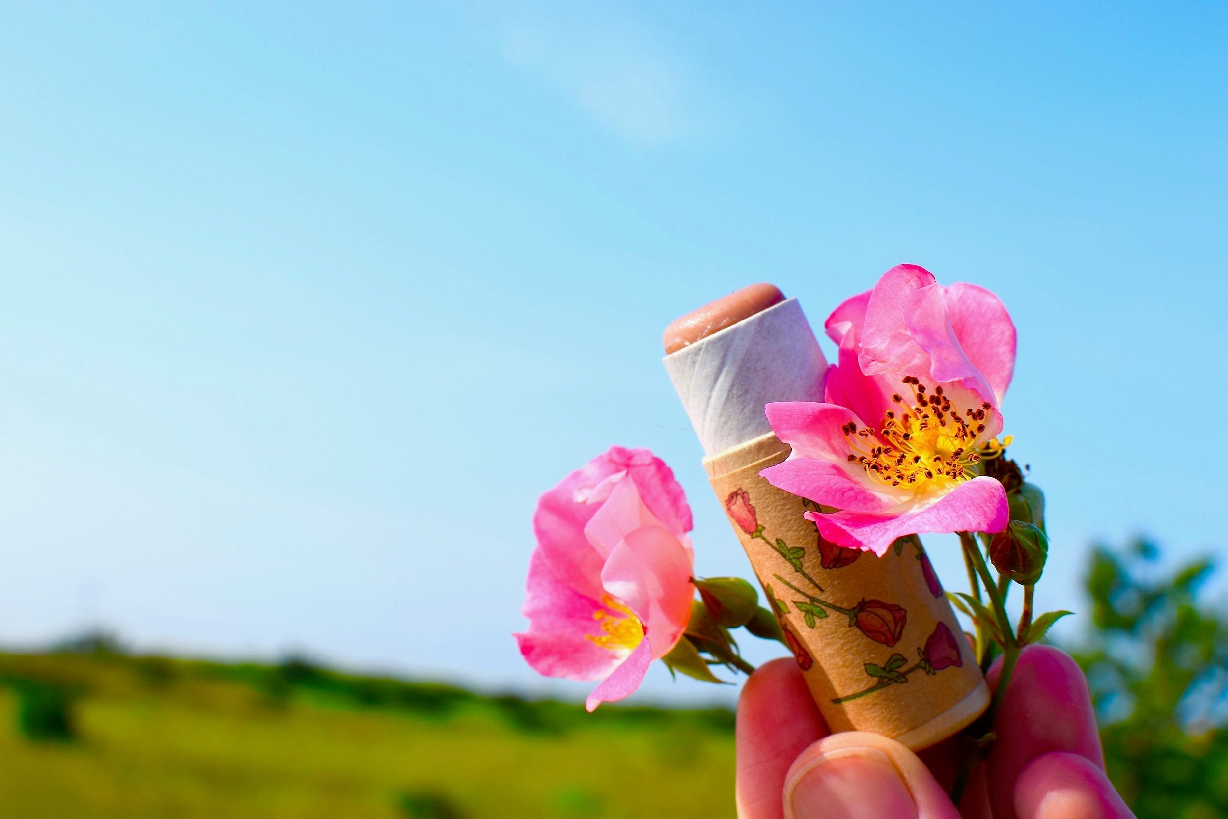 Pink Rose Lipstick