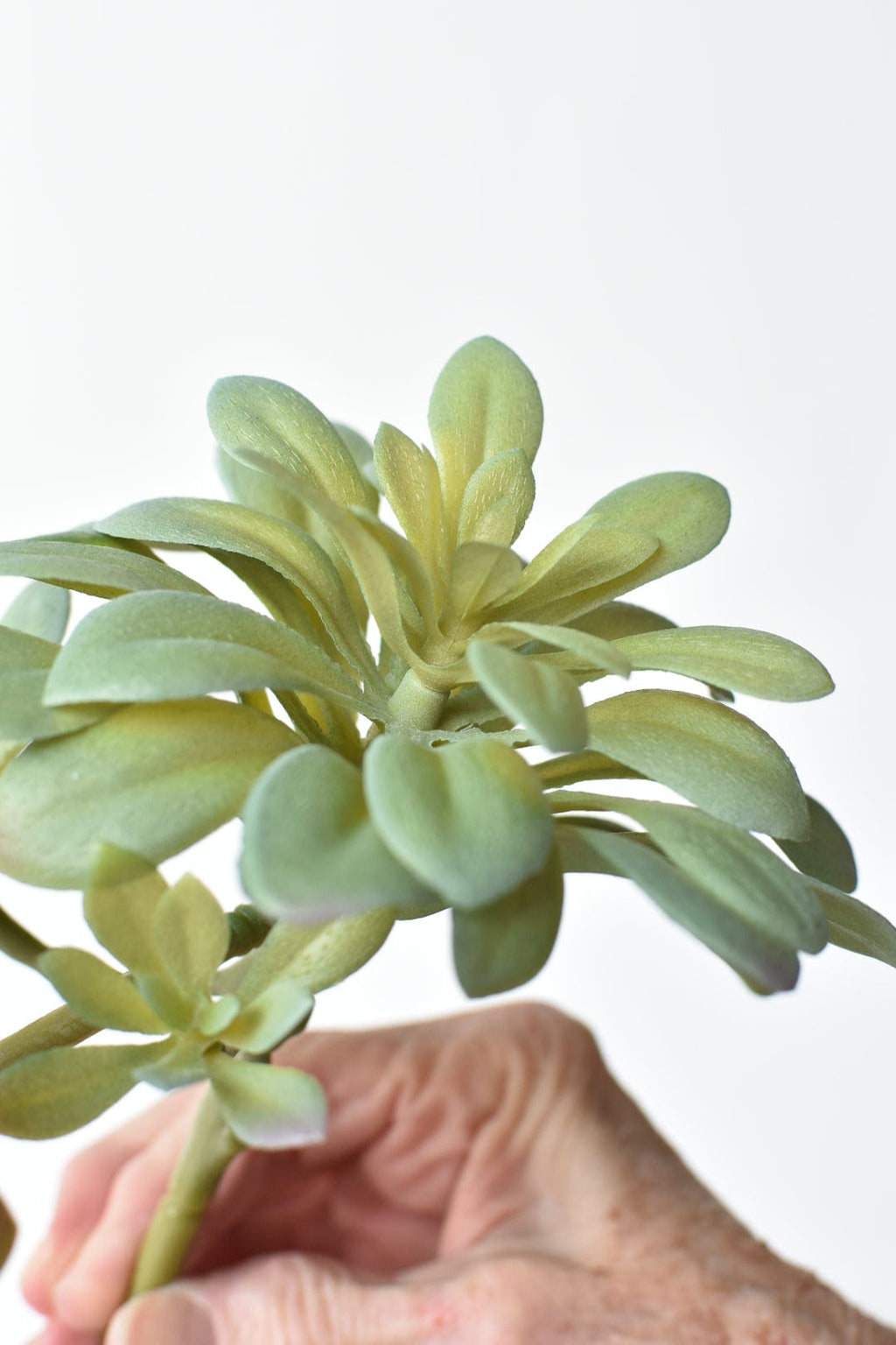 11,5" Künstlicher, herabhängender weicher Aeonium-Spray-Stiel