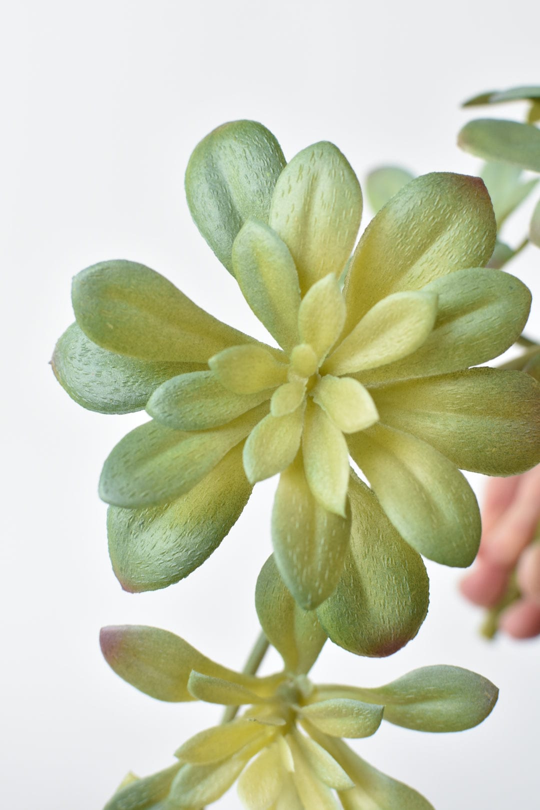 11,5" Künstlicher, herabhängender weicher Aeonium-Spray-Stiel