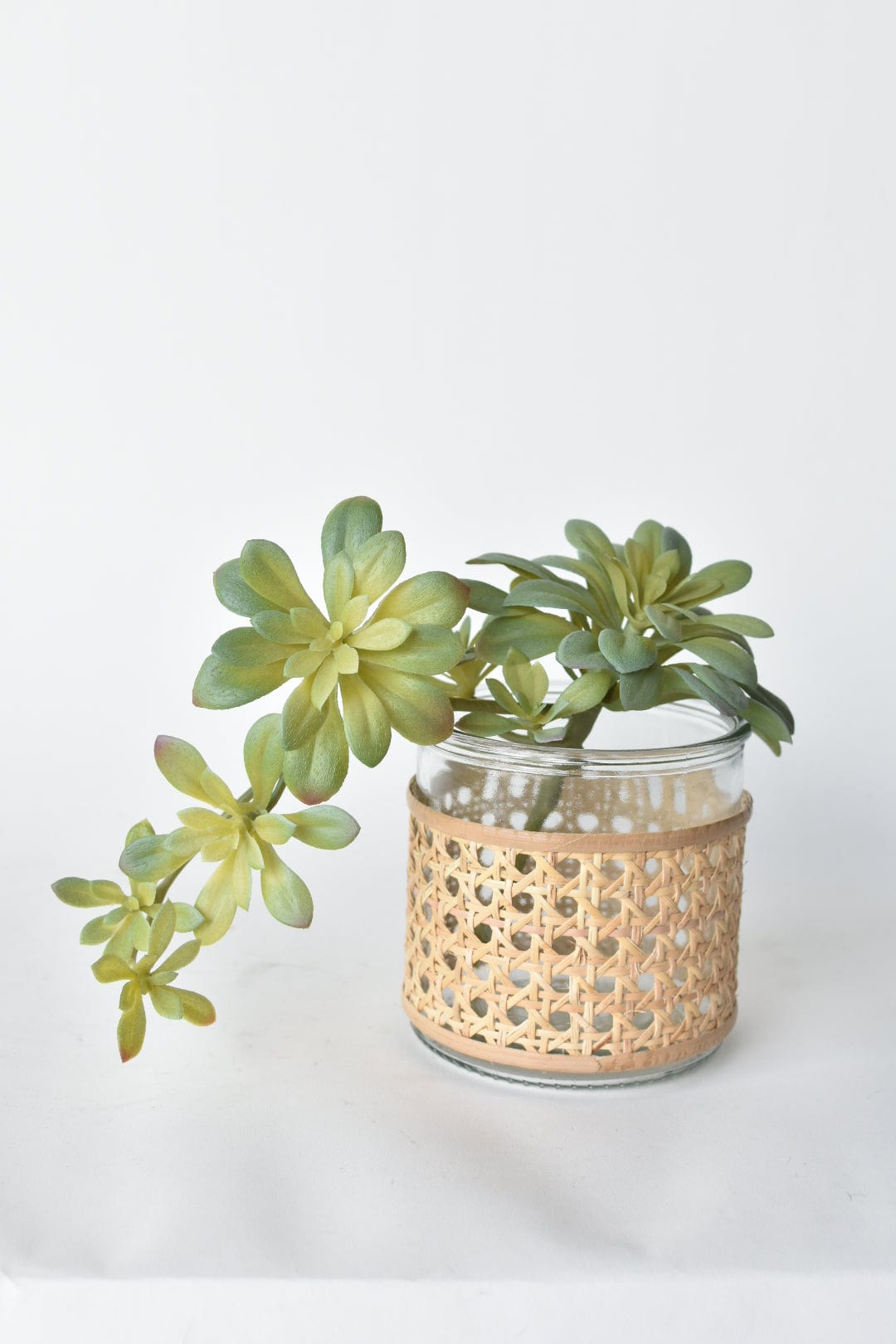 11,5" Künstlicher, herabhängender weicher Aeonium-Spray-Stiel