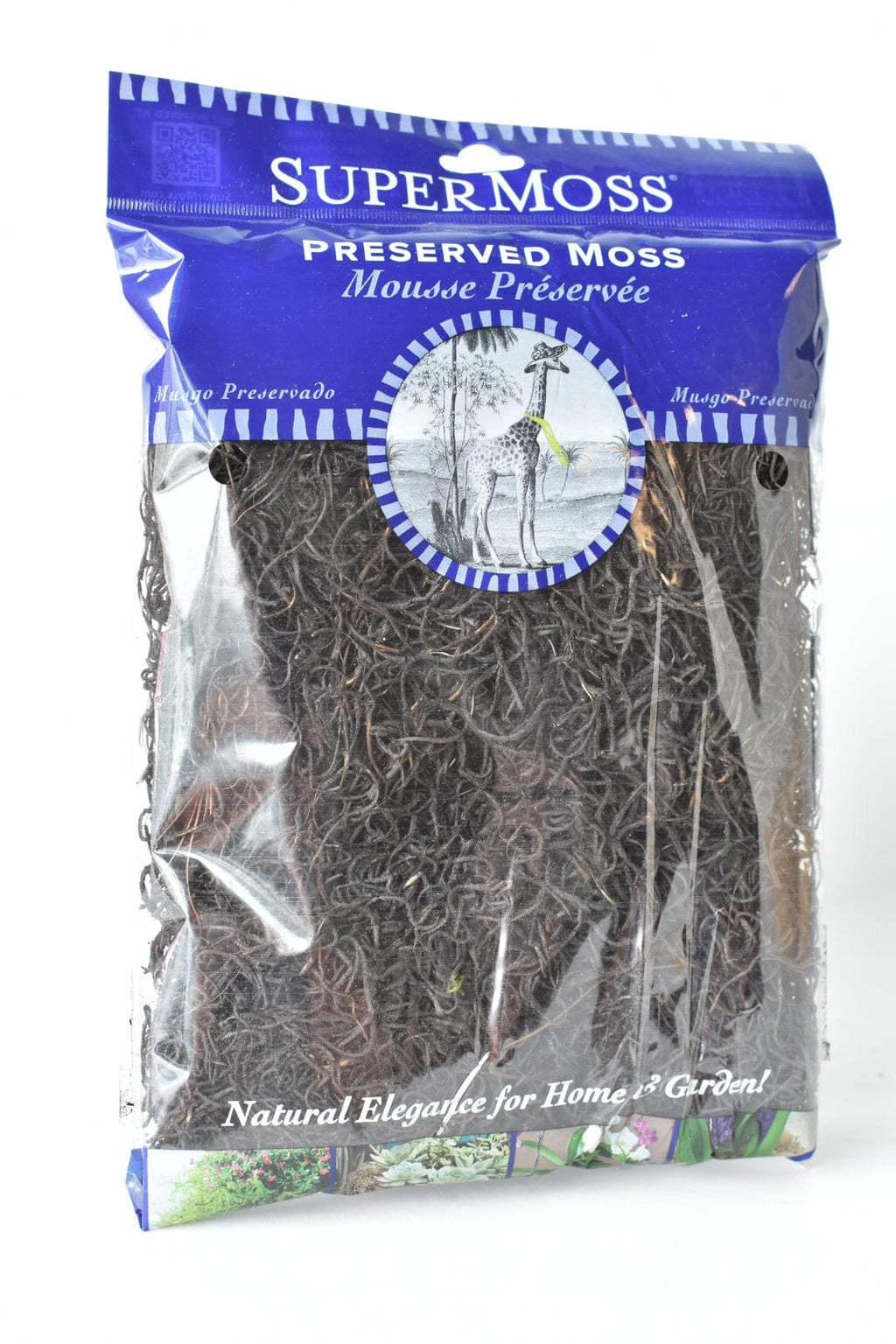 Spanisches Moos: Schwarz