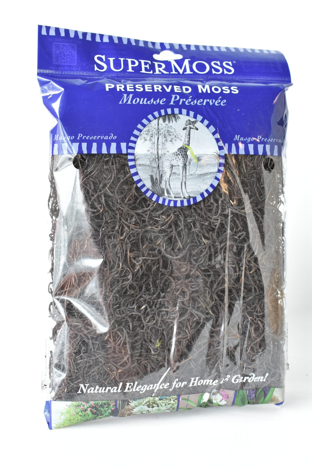 Spanisches Moos: Schwarz