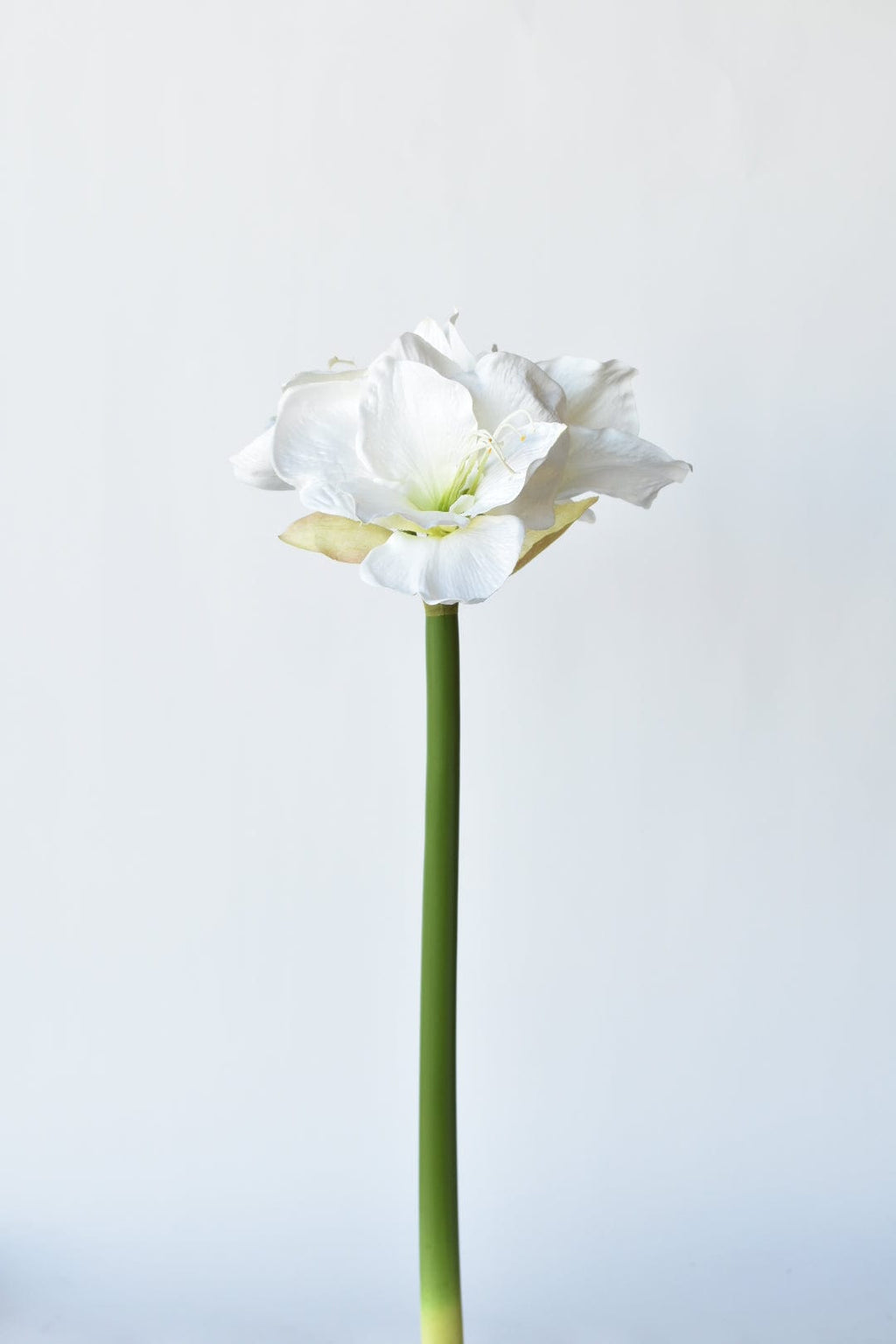 74 cm großer, künstlicher, weißer Amaryllisstiel
