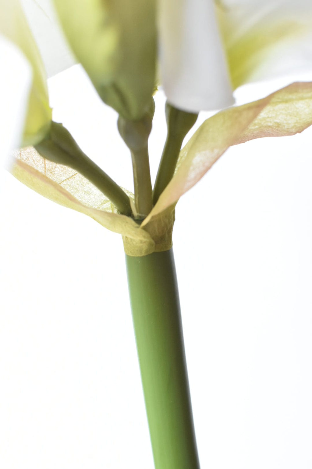 74 cm großer, künstlicher, weißer Amaryllisstiel