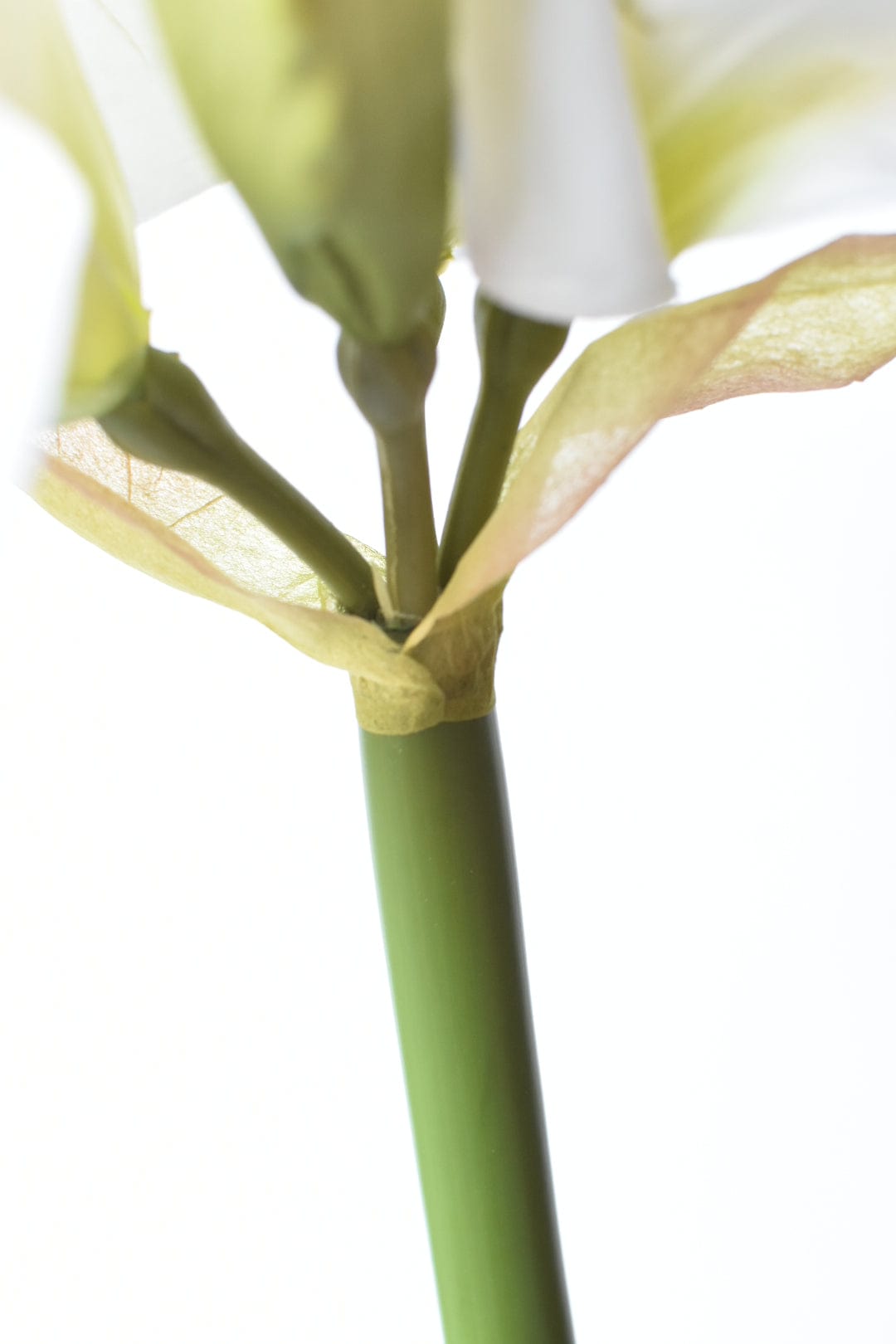 74 cm großer, künstlicher, weißer Amaryllisstiel