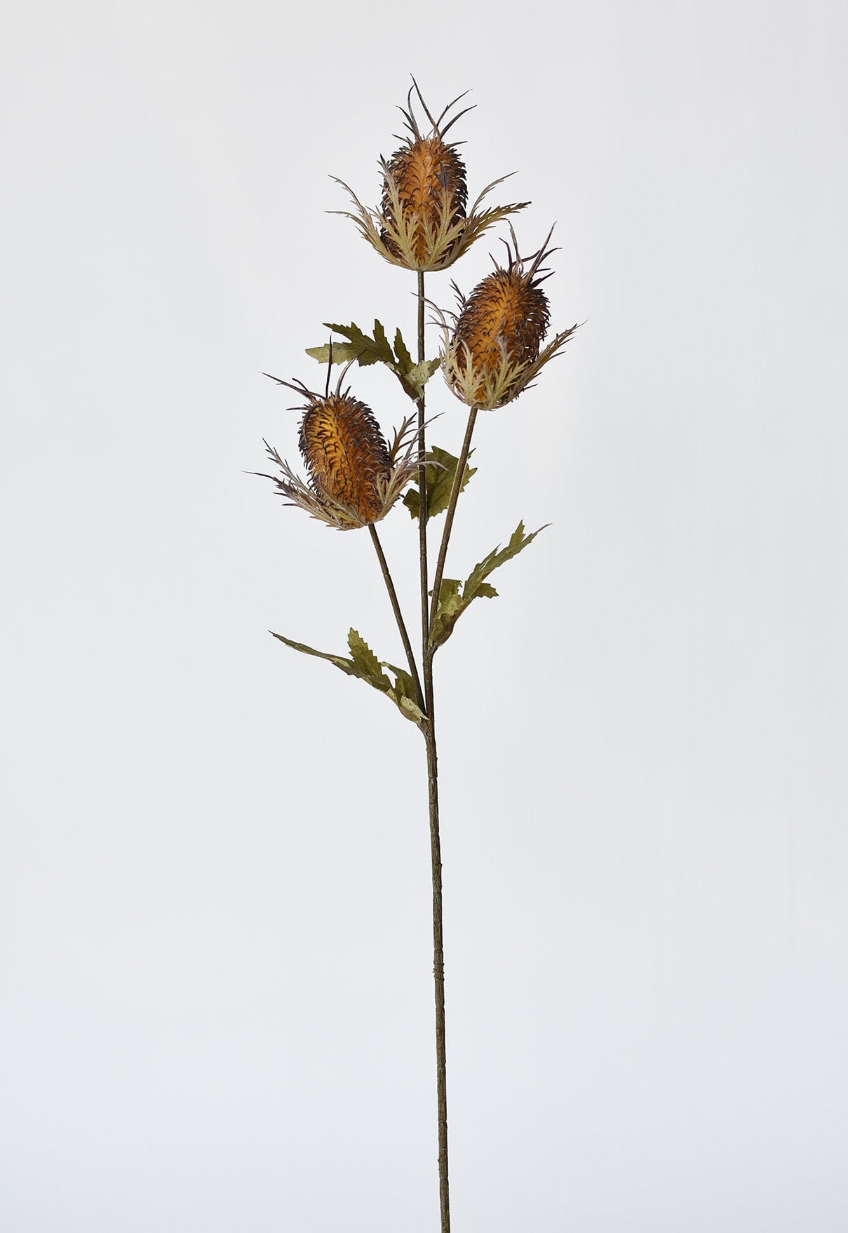 26" Künstliche braune Distelblüte am Stiel