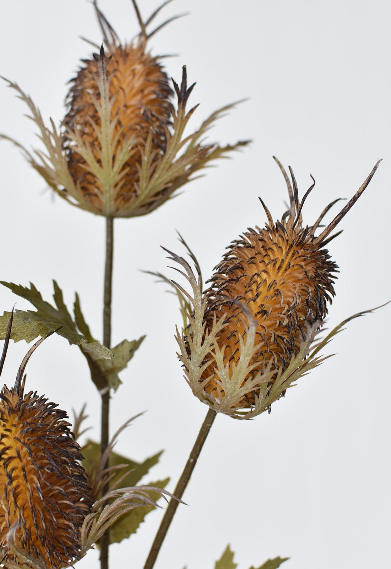 26" Künstliche braune Distelblüte am Stiel