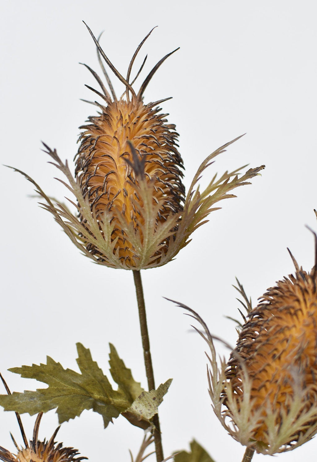 26" Künstliche braune Distelblüte am Stiel