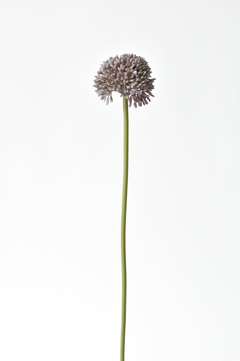 17,5" Künstlicher lila Allium-Spray-Stiel