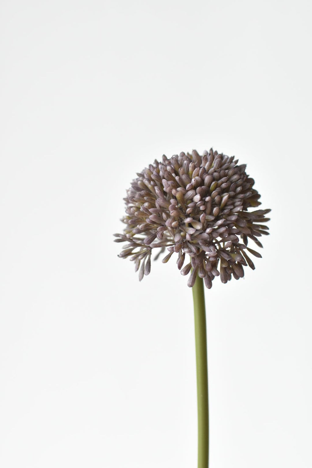 17,5" Künstlicher lila Allium-Spray-Stiel