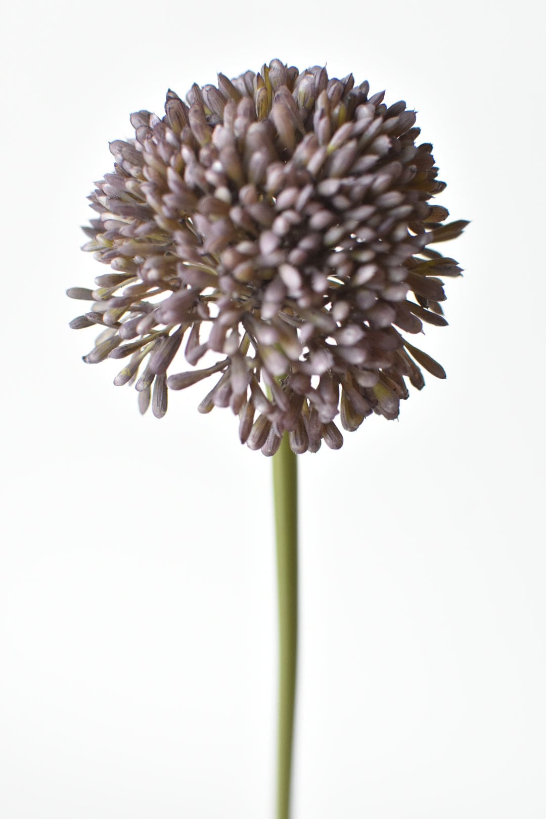 17,5" Künstlicher lila Allium-Spray-Stiel