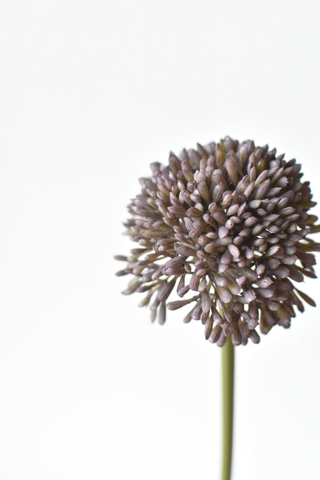 17,5" Künstlicher lila Allium-Spray-Stiel