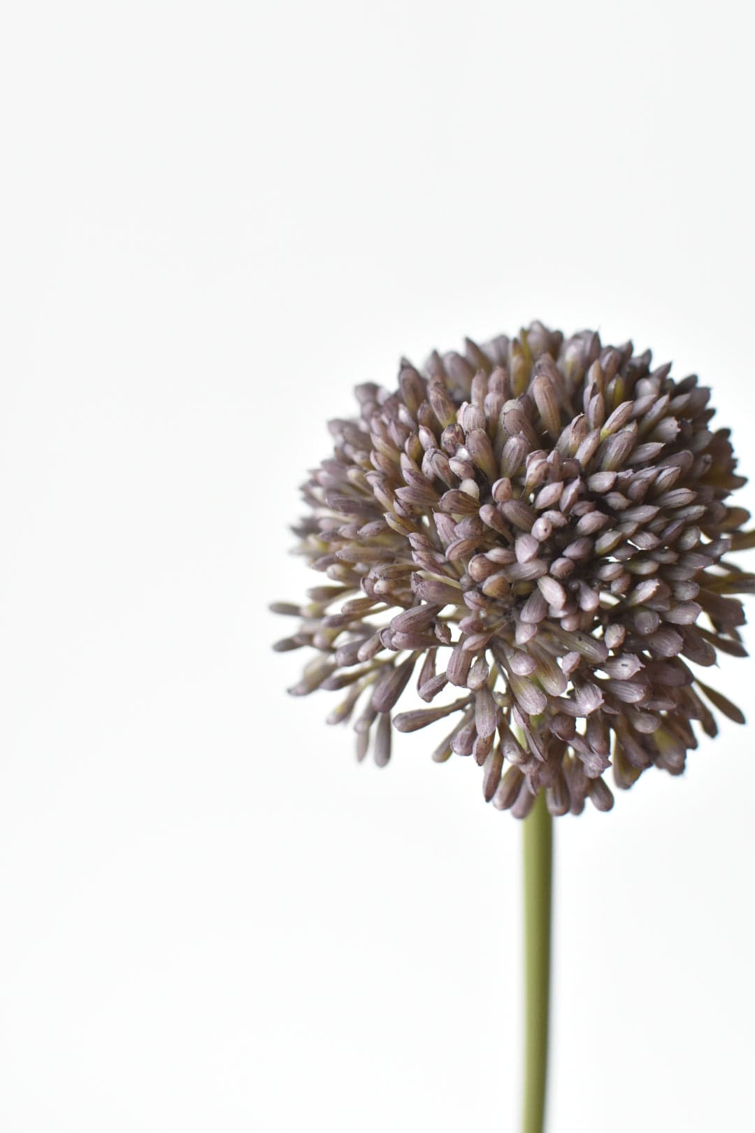 17,5" Künstlicher lila Allium-Spray-Stiel