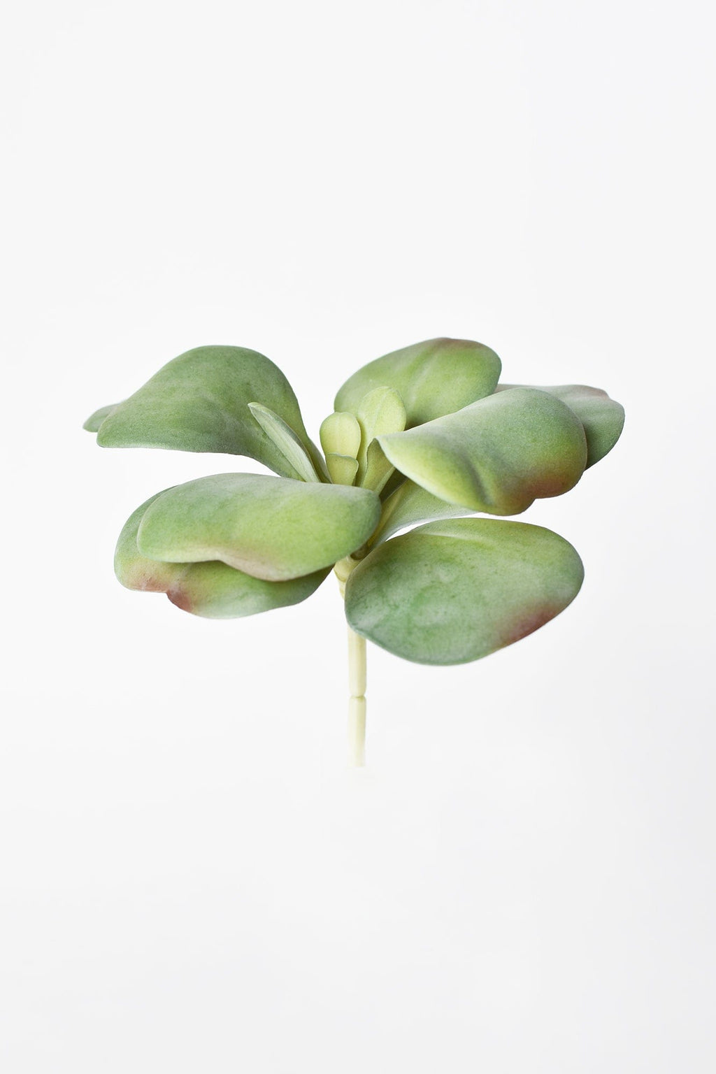 6" Faux Green\Gray Kalanchoe Succulent Pick