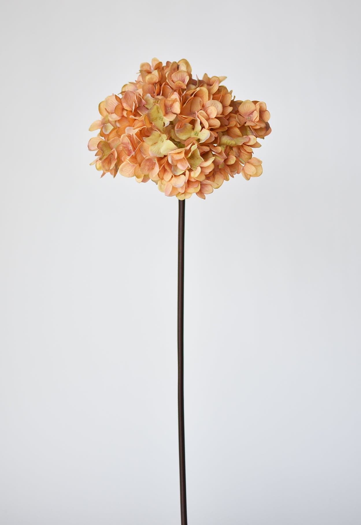 27" Künstliche Hortensie, Terrakotta-Orange Stiel