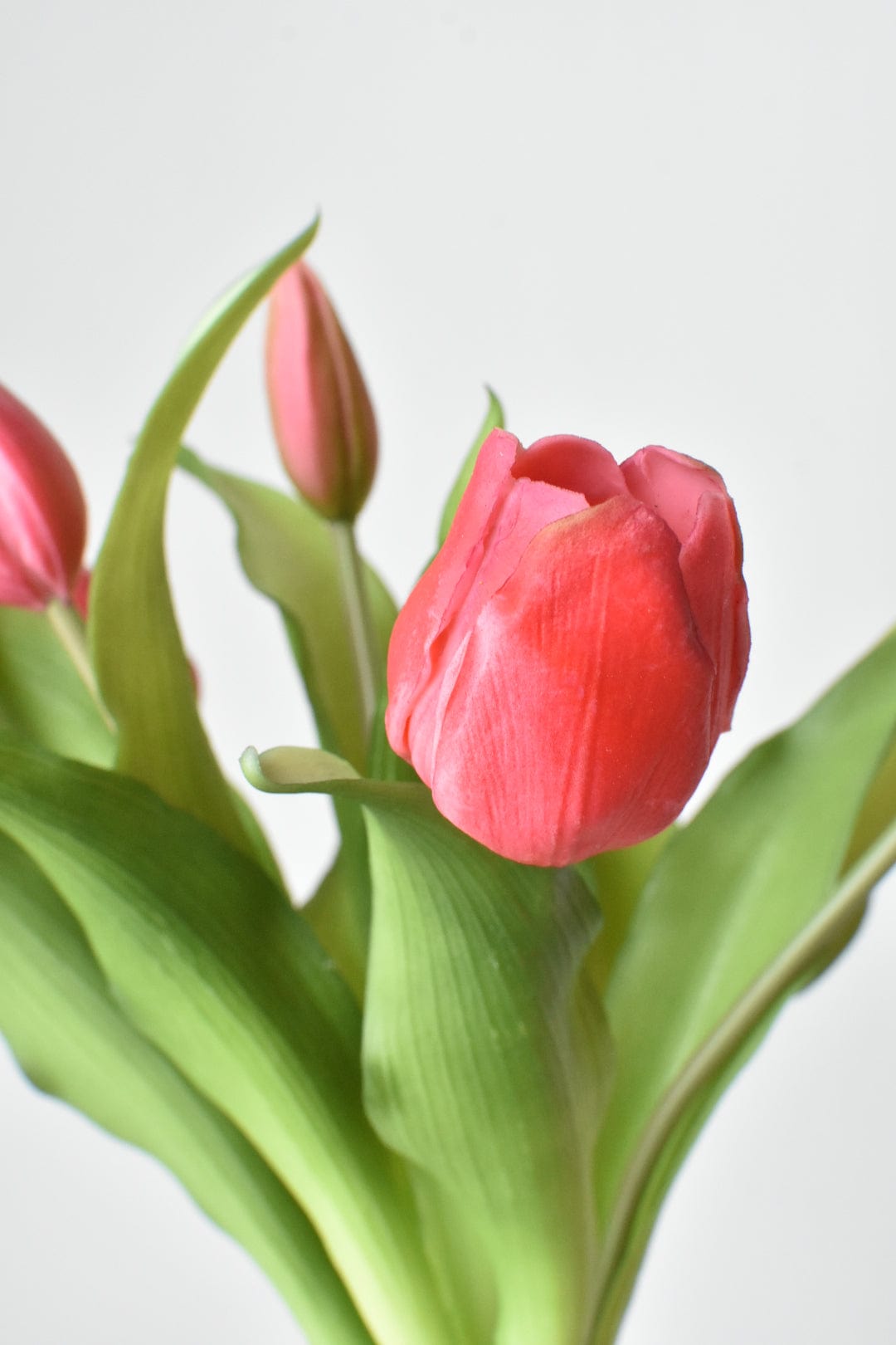 11,75" Künstlicher Real-Touch-Tulpenstiel-Bund in Dunkelrosa