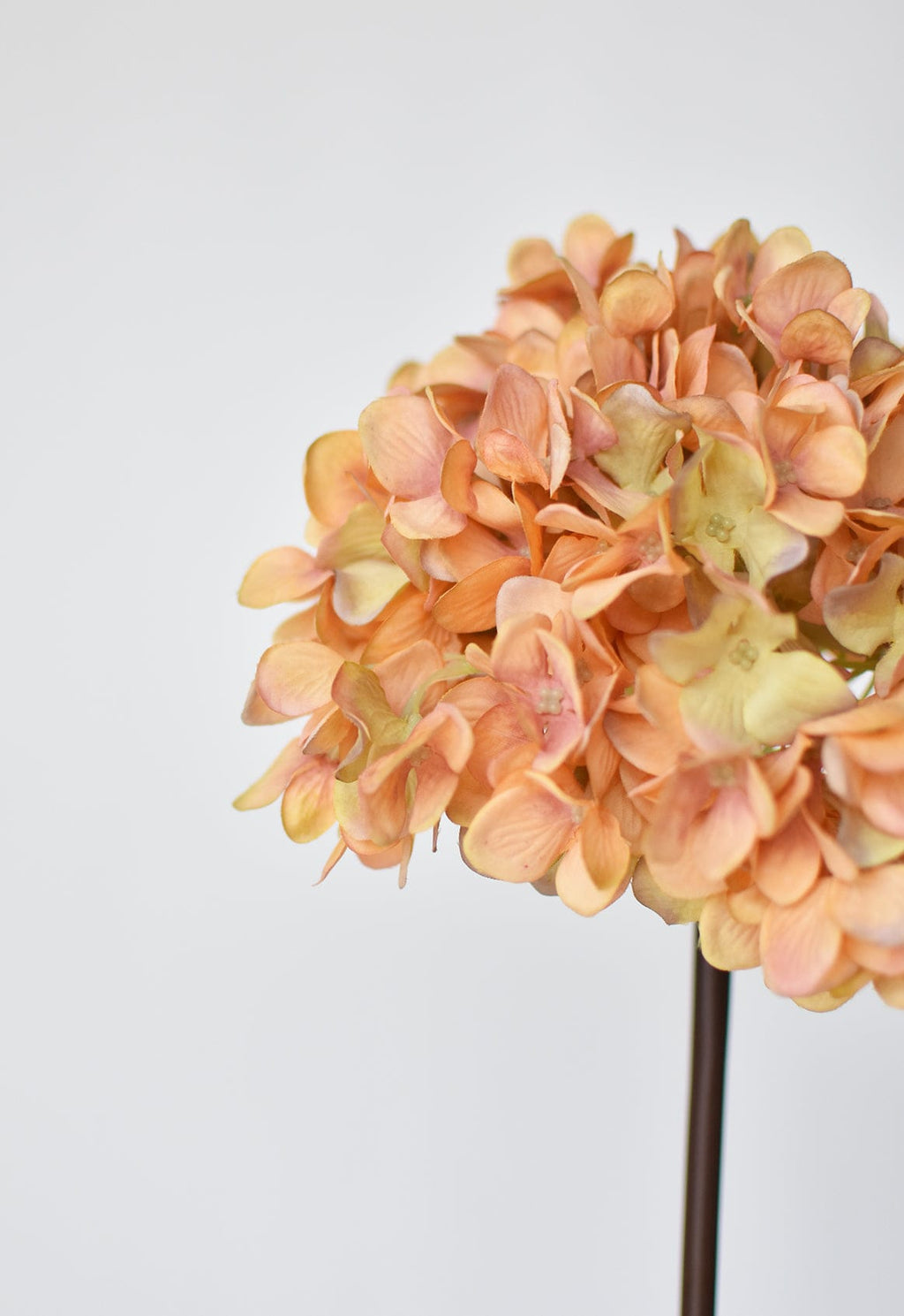 27" Künstliche Hortensie, Terrakotta-Orange Stiel