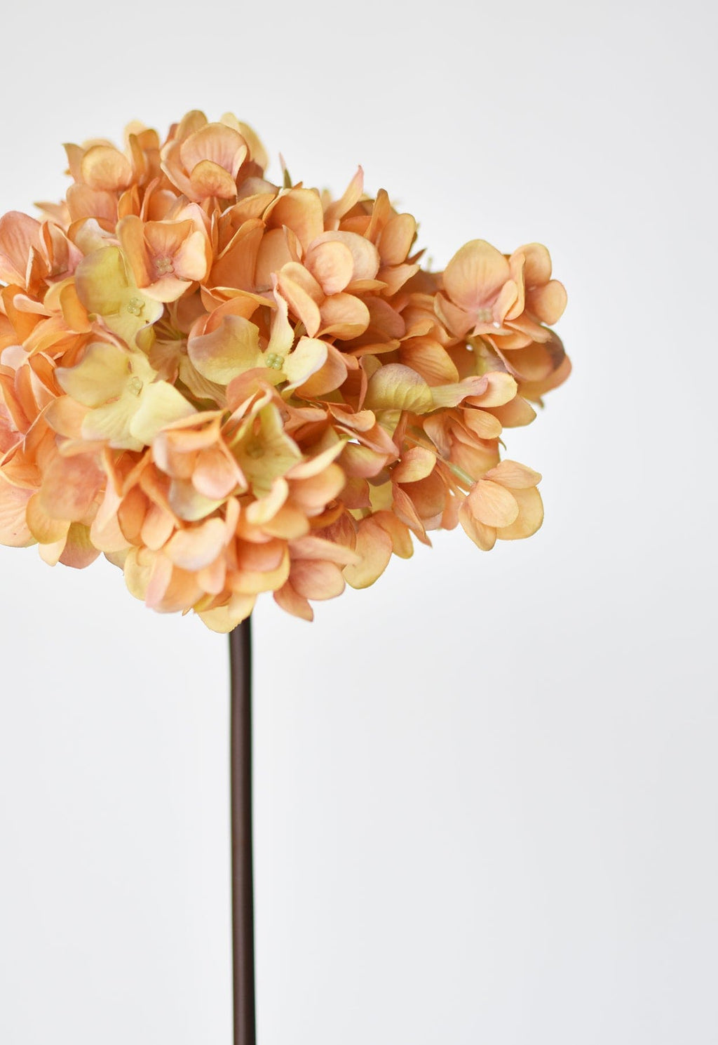 27" Künstliche Hortensie, Terrakotta-Orange Stiel