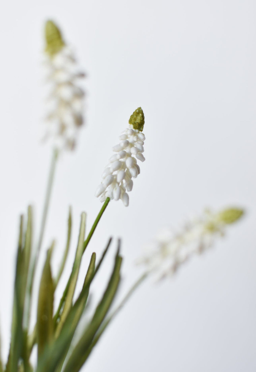 12,5" Künstliche Weiße Muscari-Traubenhyazinthe